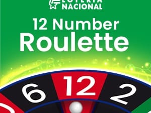12 Number Roulette screenshot